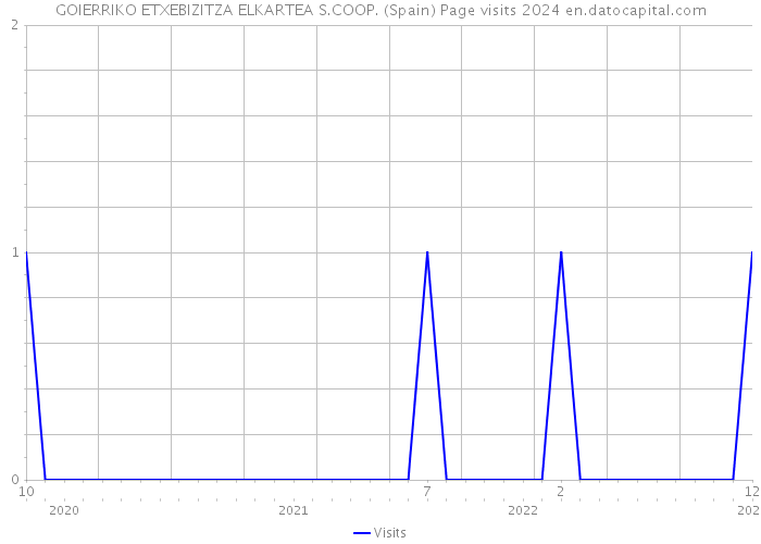 GOIERRIKO ETXEBIZITZA ELKARTEA S.COOP. (Spain) Page visits 2024 