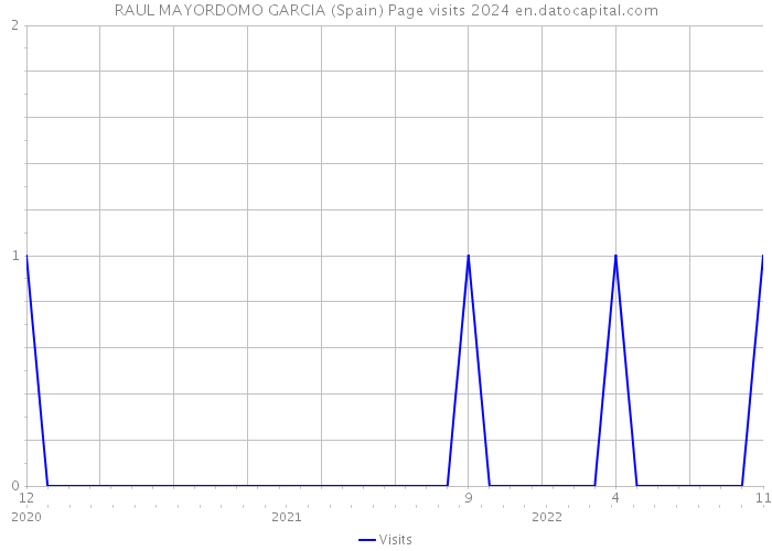 RAUL MAYORDOMO GARCIA (Spain) Page visits 2024 
