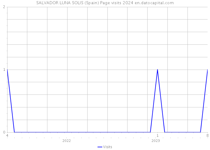 SALVADOR LUNA SOLIS (Spain) Page visits 2024 