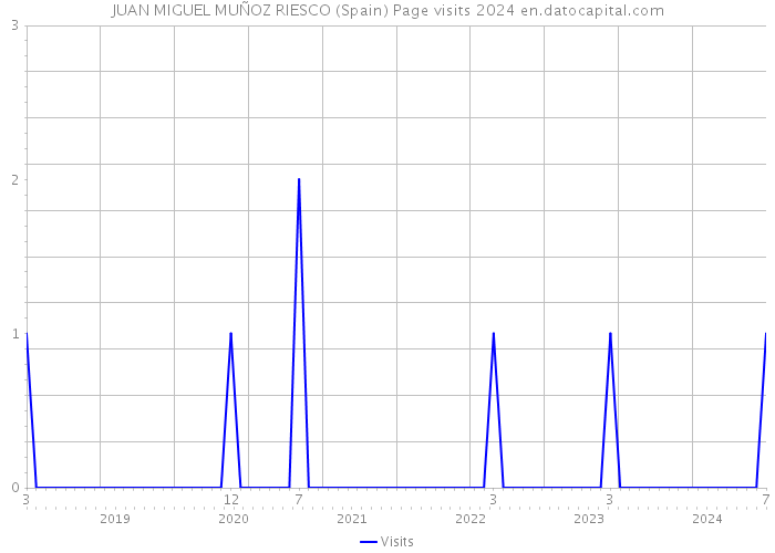 JUAN MIGUEL MUÑOZ RIESCO (Spain) Page visits 2024 