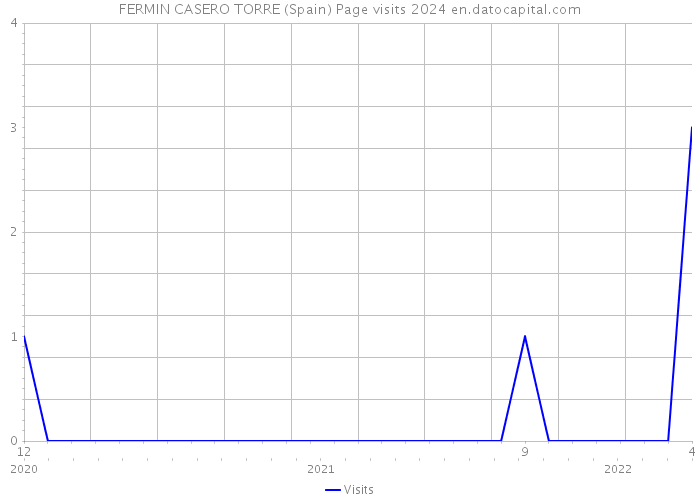 FERMIN CASERO TORRE (Spain) Page visits 2024 