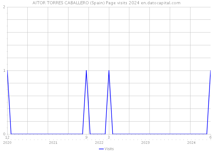 AITOR TORRES CABALLERO (Spain) Page visits 2024 