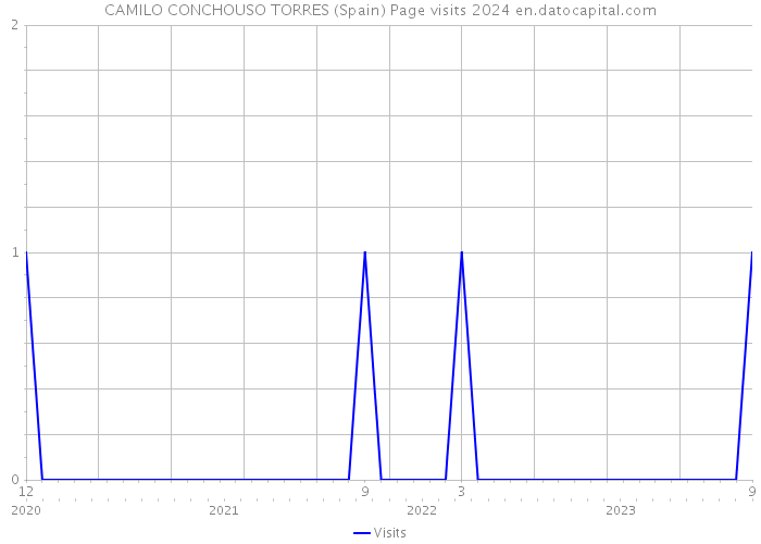 CAMILO CONCHOUSO TORRES (Spain) Page visits 2024 
