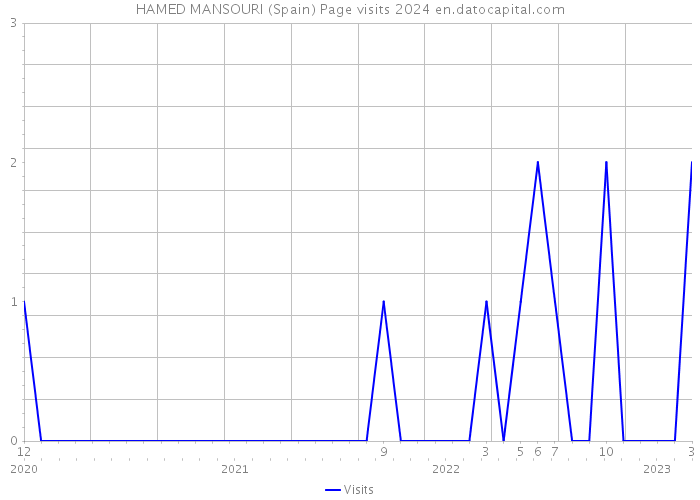 HAMED MANSOURI (Spain) Page visits 2024 