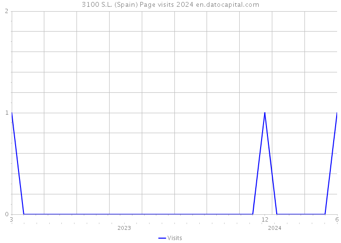 3100 S.L. (Spain) Page visits 2024 