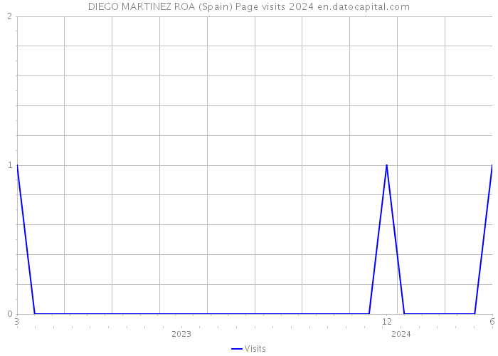 DIEGO MARTINEZ ROA (Spain) Page visits 2024 