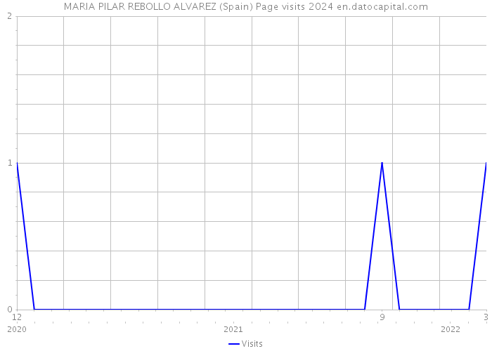 MARIA PILAR REBOLLO ALVAREZ (Spain) Page visits 2024 