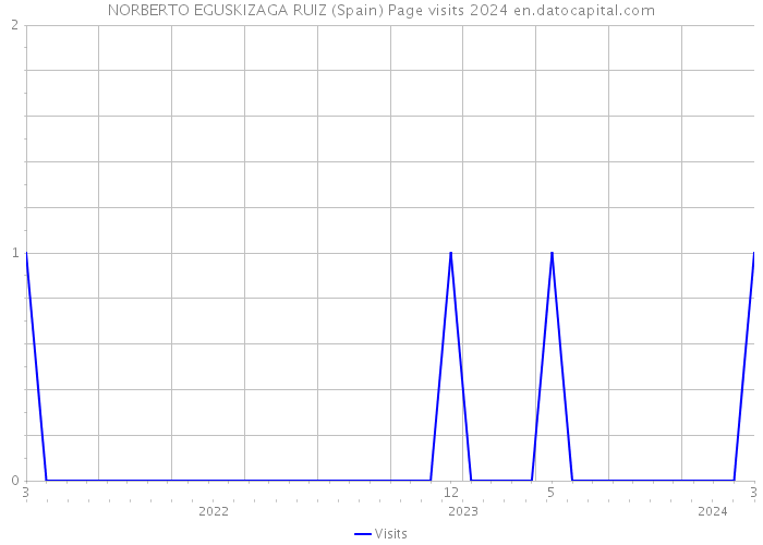 NORBERTO EGUSKIZAGA RUIZ (Spain) Page visits 2024 