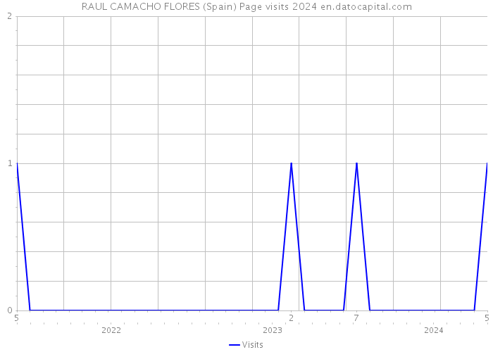 RAUL CAMACHO FLORES (Spain) Page visits 2024 