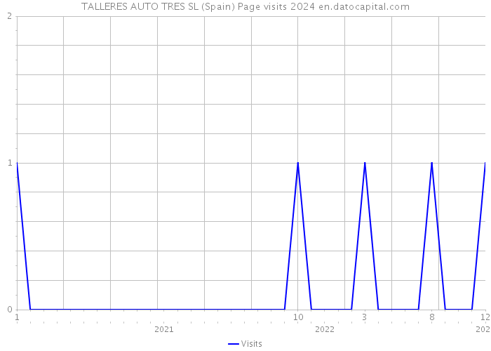 TALLERES AUTO TRES SL (Spain) Page visits 2024 
