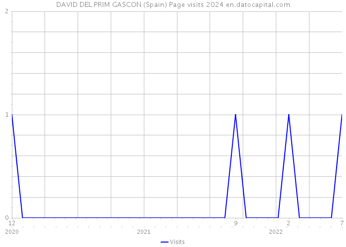 DAVID DEL PRIM GASCON (Spain) Page visits 2024 