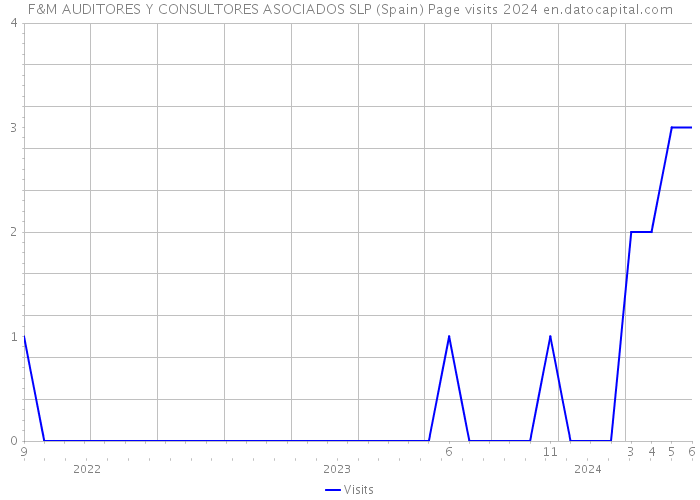 F&M AUDITORES Y CONSULTORES ASOCIADOS SLP (Spain) Page visits 2024 