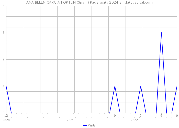 ANA BELEN GARCIA FORTUN (Spain) Page visits 2024 