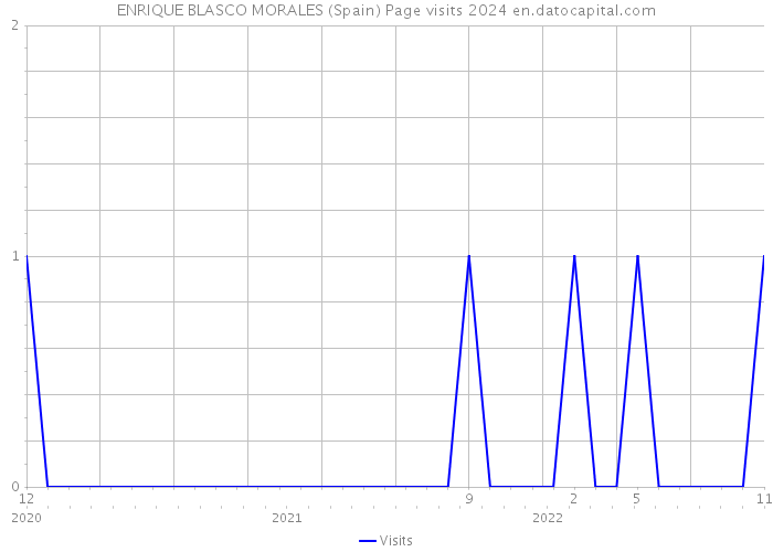 ENRIQUE BLASCO MORALES (Spain) Page visits 2024 