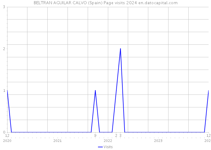BELTRAN AGUILAR CALVO (Spain) Page visits 2024 