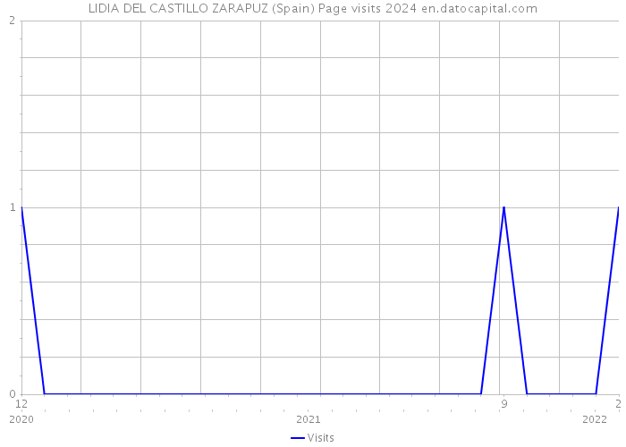 LIDIA DEL CASTILLO ZARAPUZ (Spain) Page visits 2024 