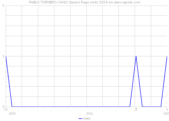 PABLO TORNERO CANO (Spain) Page visits 2024 