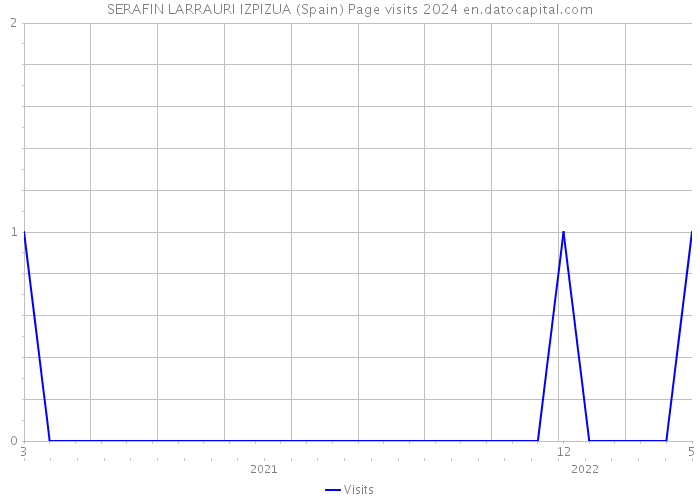 SERAFIN LARRAURI IZPIZUA (Spain) Page visits 2024 