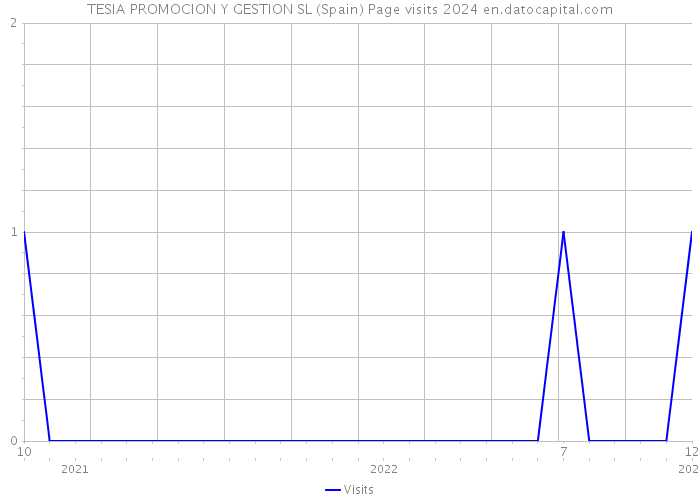 TESIA PROMOCION Y GESTION SL (Spain) Page visits 2024 