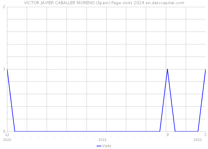 VICTOR JAVIER CABALLER MORENO (Spain) Page visits 2024 