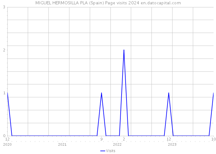 MIGUEL HERMOSILLA PLA (Spain) Page visits 2024 