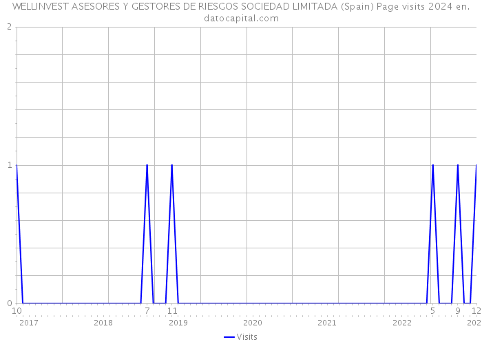 WELLINVEST ASESORES Y GESTORES DE RIESGOS SOCIEDAD LIMITADA (Spain) Page visits 2024 
