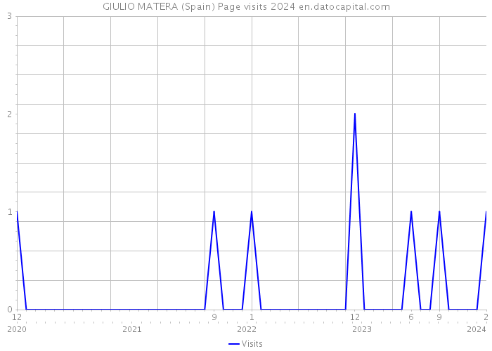 GIULIO MATERA (Spain) Page visits 2024 