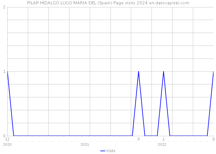 PILAR HIDALGO LUGO MARIA DEL (Spain) Page visits 2024 
