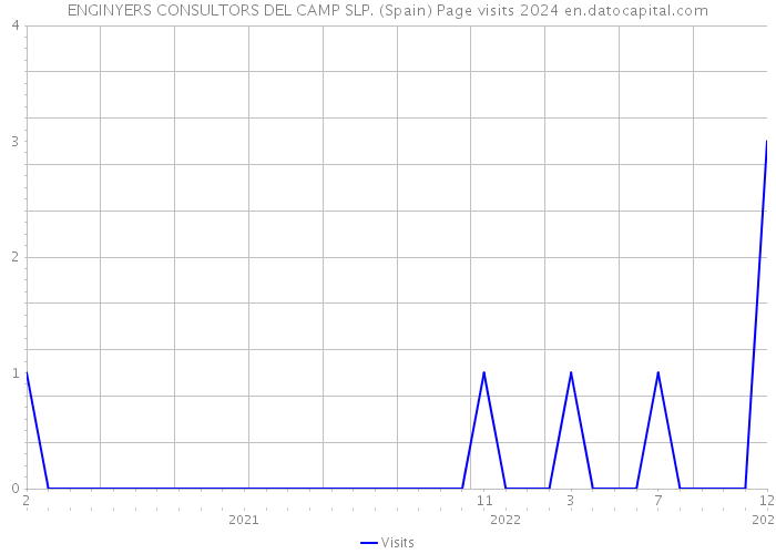 ENGINYERS CONSULTORS DEL CAMP SLP. (Spain) Page visits 2024 
