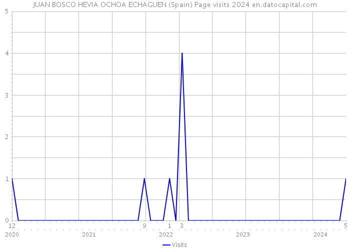 JUAN BOSCO HEVIA OCHOA ECHAGUEN (Spain) Page visits 2024 