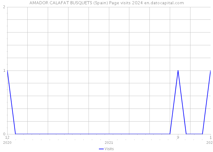 AMADOR CALAFAT BUSQUETS (Spain) Page visits 2024 