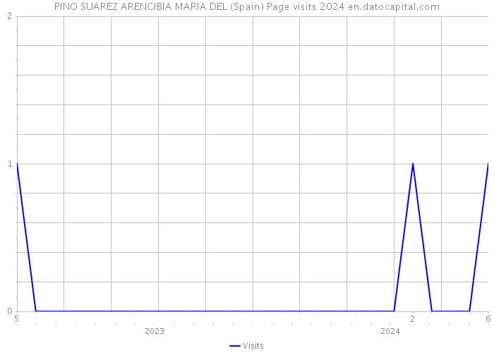 PINO SUAREZ ARENCIBIA MARIA DEL (Spain) Page visits 2024 