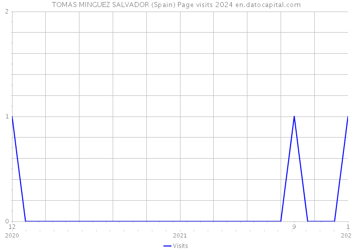 TOMAS MINGUEZ SALVADOR (Spain) Page visits 2024 