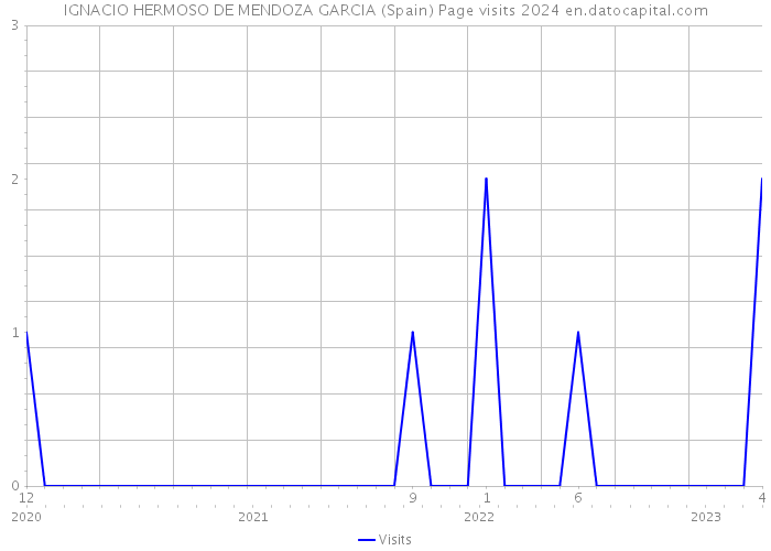 IGNACIO HERMOSO DE MENDOZA GARCIA (Spain) Page visits 2024 