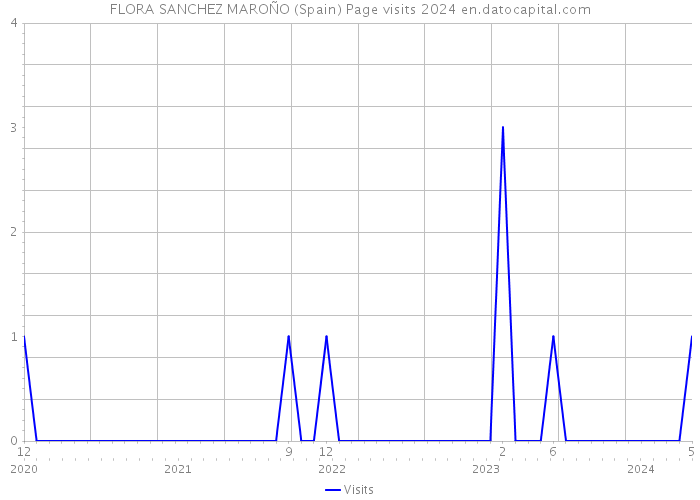 FLORA SANCHEZ MAROÑO (Spain) Page visits 2024 