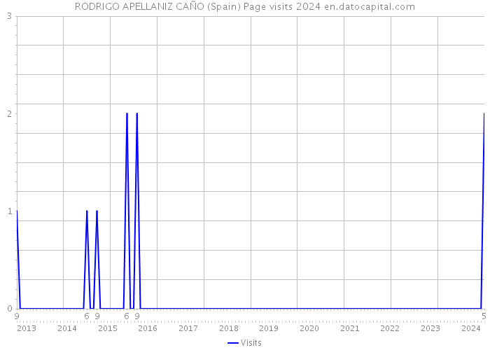RODRIGO APELLANIZ CAÑO (Spain) Page visits 2024 