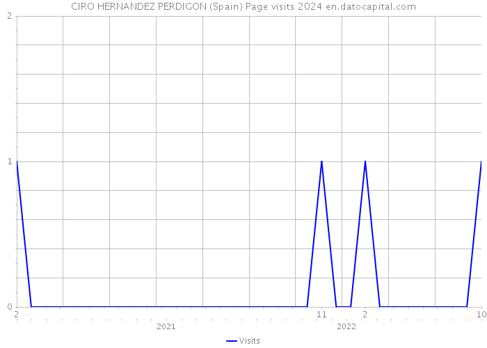 CIRO HERNANDEZ PERDIGON (Spain) Page visits 2024 