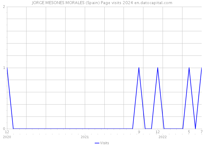 JORGE MESONES MORALES (Spain) Page visits 2024 