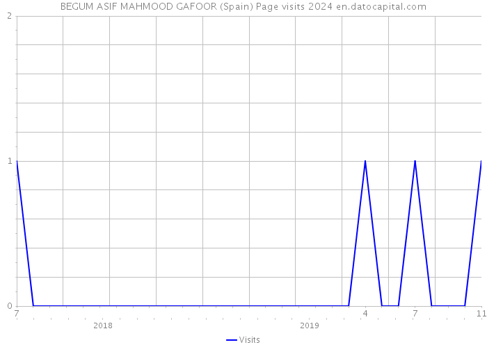 BEGUM ASIF MAHMOOD GAFOOR (Spain) Page visits 2024 