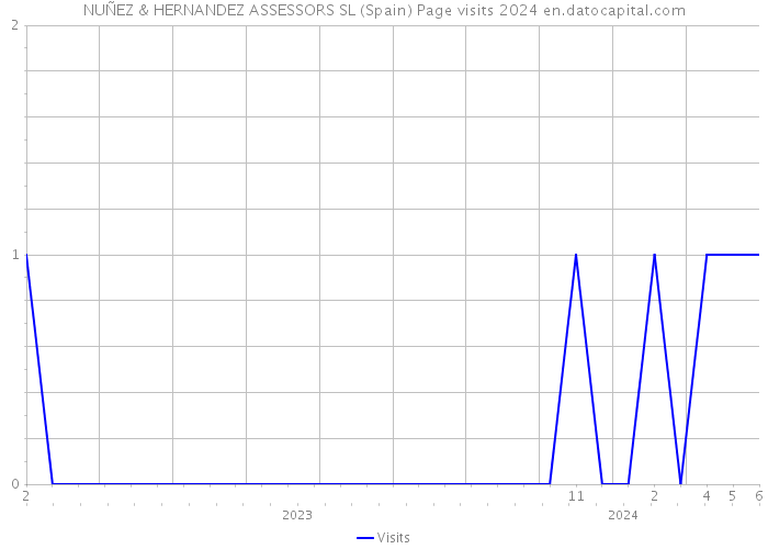 NUÑEZ & HERNANDEZ ASSESSORS SL (Spain) Page visits 2024 