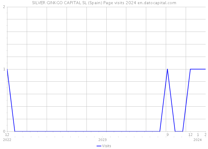 SILVER GINKGO CAPITAL SL (Spain) Page visits 2024 