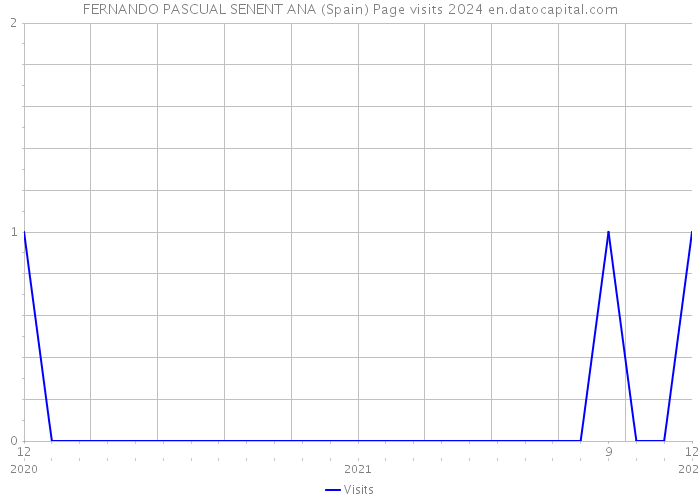 FERNANDO PASCUAL SENENT ANA (Spain) Page visits 2024 