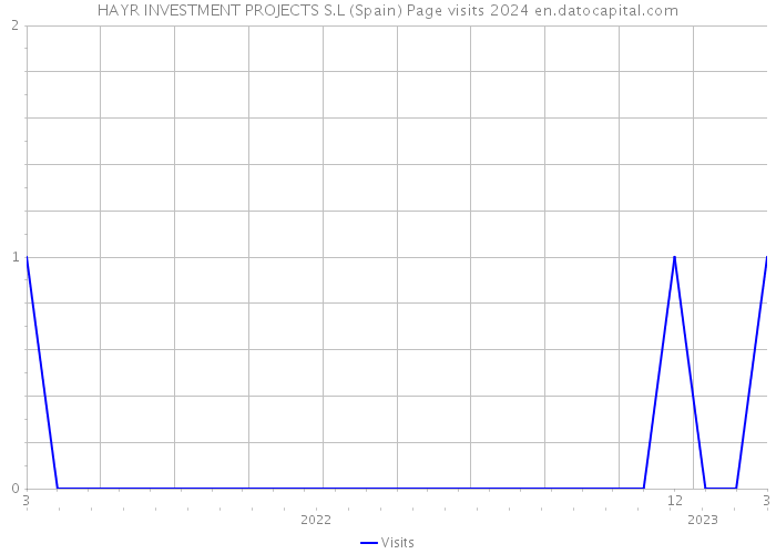 HAYR INVESTMENT PROJECTS S.L (Spain) Page visits 2024 