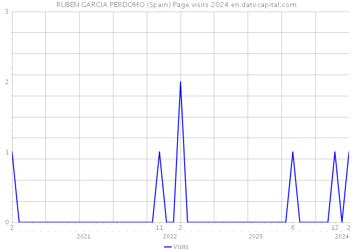 RUBEN GARCIA PERDOMO (Spain) Page visits 2024 
