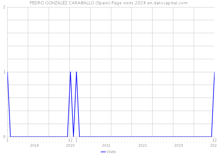 PEDRO GONZALEZ CARABALLO (Spain) Page visits 2024 