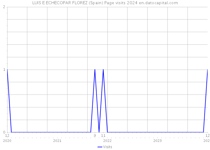 LUIS E ECHECOPAR FLOREZ (Spain) Page visits 2024 
