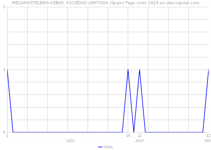 MEGAHOSTELERIA KEBAP, SOCIEDAD LIMITADA (Spain) Page visits 2024 
