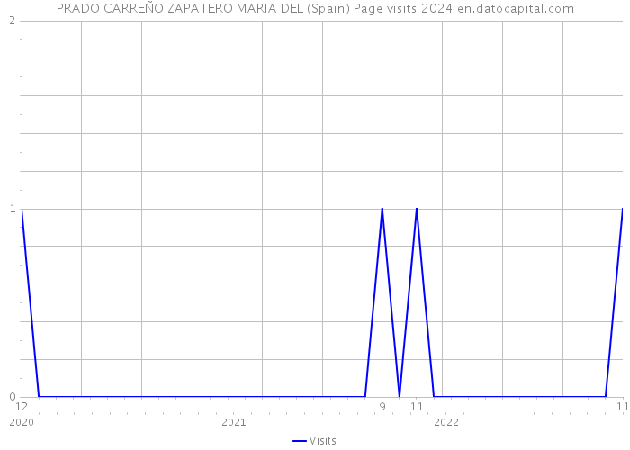 PRADO CARREÑO ZAPATERO MARIA DEL (Spain) Page visits 2024 