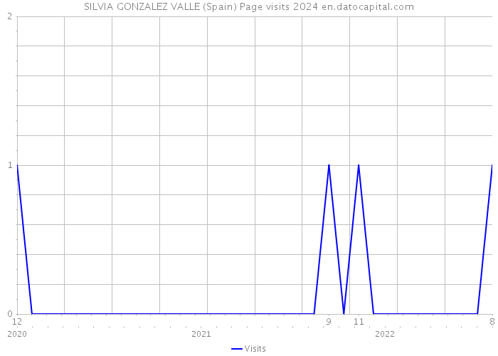 SILVIA GONZALEZ VALLE (Spain) Page visits 2024 