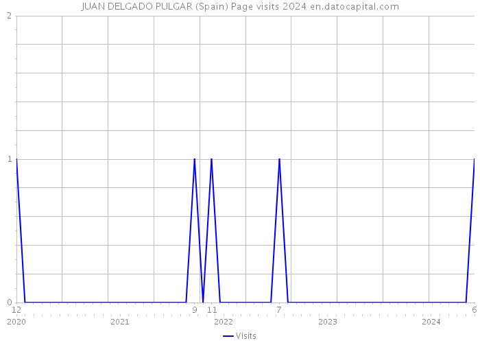 JUAN DELGADO PULGAR (Spain) Page visits 2024 